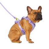 Canada Pooch Neoprene Everything Harness Lavender