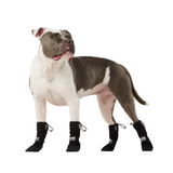 Canada Pooch Soft Shield Boots Black