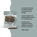 Icelandic Capelin Whole and Pieces Cat Treat 1.5oz