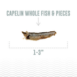 Icelandic Capelin Whole and Pieces Cat Treat 1.5oz