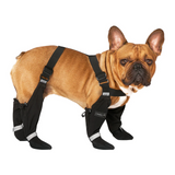 Canada Pooch Suspender Boots Black Short