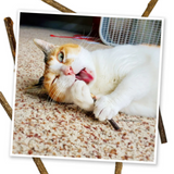 Meowijuana Silvervine Stick 6 Pack