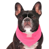 Canada Pooch Cooling Bandana Neon Pink