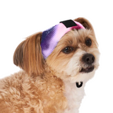 Canada Pooch Purple Tie Dye Beanie