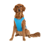 Canada Pooch Cooling Vest Aqua