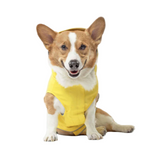 Canada Pooch Torrential Tracker Yellow