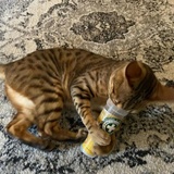 Meowijuana Whisker Tickler Catnip