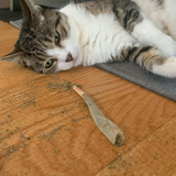 Meowijuana King Catnibas Joints