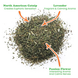 Meowijuana Mice Dreams