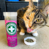 Meowijuana Mice Dreams