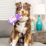 Lulubelles Power Plush Tickled Pink Chompagne