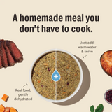 Honest Kitchen Force GF Chicken Dog