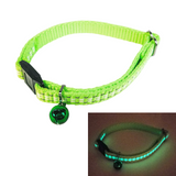 Goli Bella Luna Glow In The Dark Cat Collar