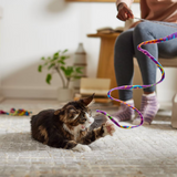 Cat Dancer Cat Charmer Rainbow Wand