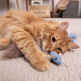 Instincts Catnip Caravan