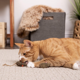 Instincts Mouser Mayhem