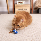 Instincts Chatty Chirp