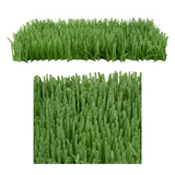 Instincts Meadow Mayhem