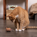 Instincts Meandering Mouse