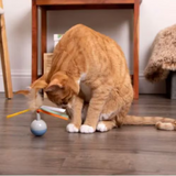 Instincts Rowdy Ribbons