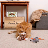 Instincts Safari Creepers Cat Toy