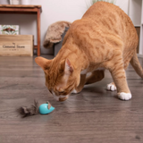 Instincts Sneaky Slider