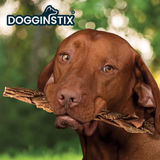 Dogginstix Braided Beef Tripe 24in