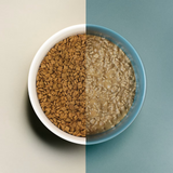 Now! K9 Good Gravy Small Breed Ancient Grain Salmon 3.5lb