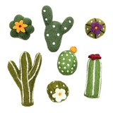 DDKC Succulents Toys Asst