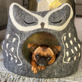 DDKC Owl Bed Grey