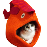 DDKC Fish Bed Orange