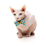 FuzzYard Cheesy Hearts Cat Fashion Pack