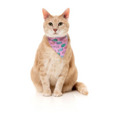 FuzzYard Meowcarons Cat Fashion Pack