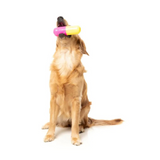 FuzzYard Chill Pill Dog Toy