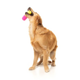 FuzzYard Chill Pill Dog Toy