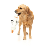 FuzzYard See Ya Seagull Dog Toy