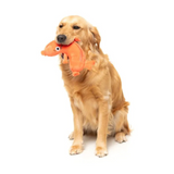 FuzzYard Brad Wurst Dog Toy