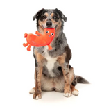 FuzzYard Brad Wurst Dog Toy