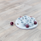 Trixie Cat Activity Pentagon*