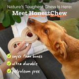 Honest Chew Infinity Bone Toy