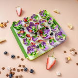 Tall Tails Foraging Mat Succulent Garden