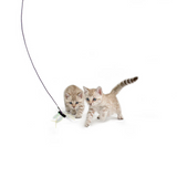 RompiCatz Critter Collections Cagonfly Attachment