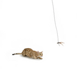 RompiCatz Critter Collections Cattikets Attachment