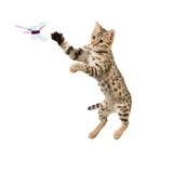 RompiCatz Critter Collections Cattimoth Attachment