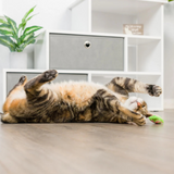 Kittybelles Santa Hat & Sweet Thing Candy 2pk