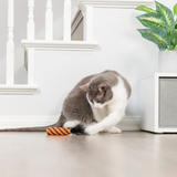 Kittybelles Spiderweb Donut & Black Flame Candle 2pk