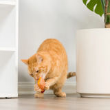 Kittybelles Hairball Cinnamon Whiskey