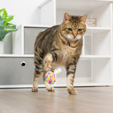 Kittybelles Im Sweet Lollipop