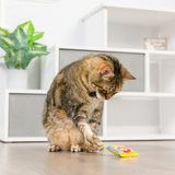 Kittybelles Sweetest Fish Toy