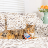 Kittybelles Sardine Tin